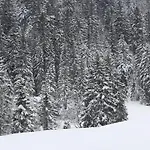 Le Souffle Des Sapins La Bresse