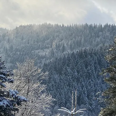 Le Souffle Des Sapins * La Bresse