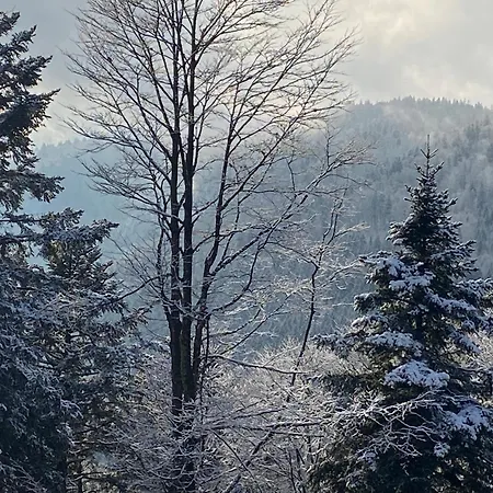 Le Souffle Des Sapins * La Bresse
