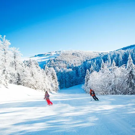 Le Souffle Des Sapins * La Bresse