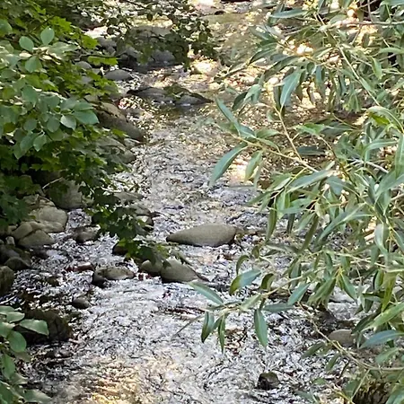 Lejlighed Le Souffle Des Sapins La Bresse