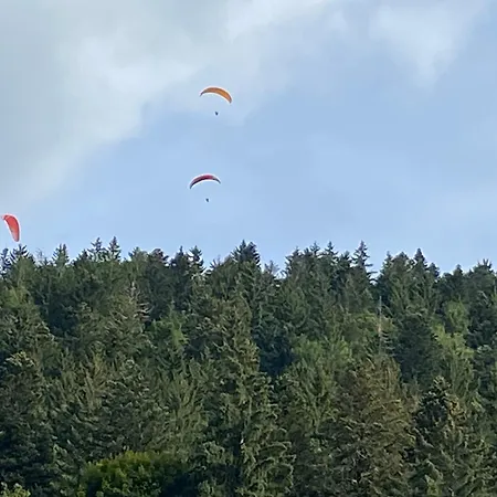 Lejlighed Le Souffle Des Sapins