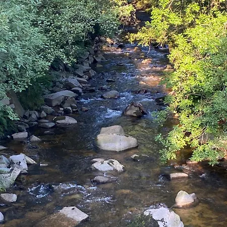 Le Souffle Des Sapins Lejlighed