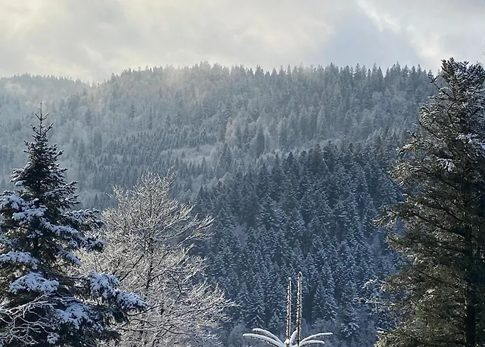 Le Souffle Des Sapins * La Bresse