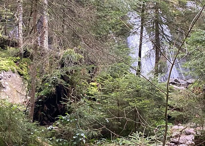 Apartmán Le Souffle Des Sapins *