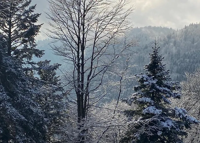 Le Souffle Des Sapins * La Bresse