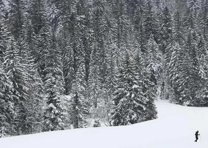 Le Souffle Des Sapins La Bresse