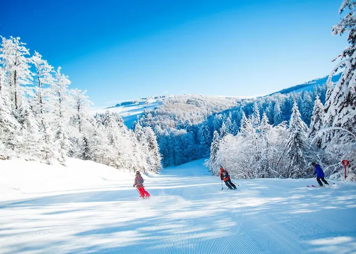 Le Souffle Des Sapins * La Bresse
