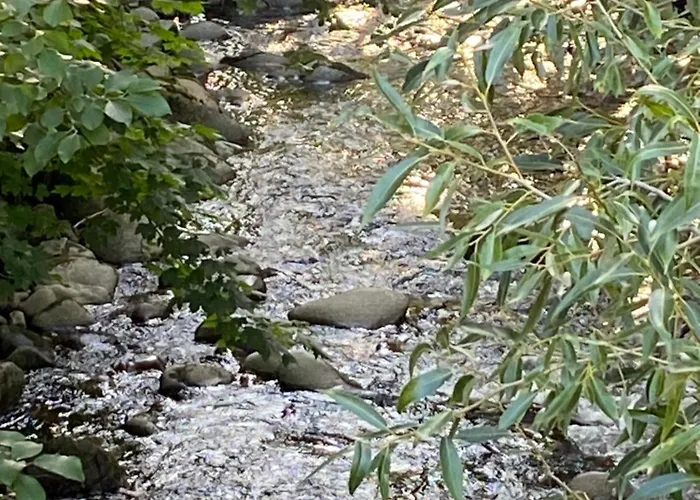 Apartmán Le Souffle Des Sapins La Bresse