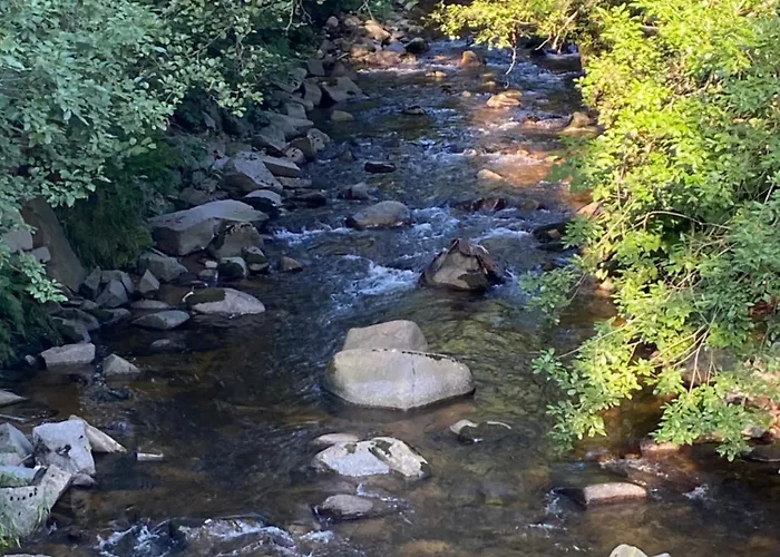 Le Souffle Des Sapins Apartmán