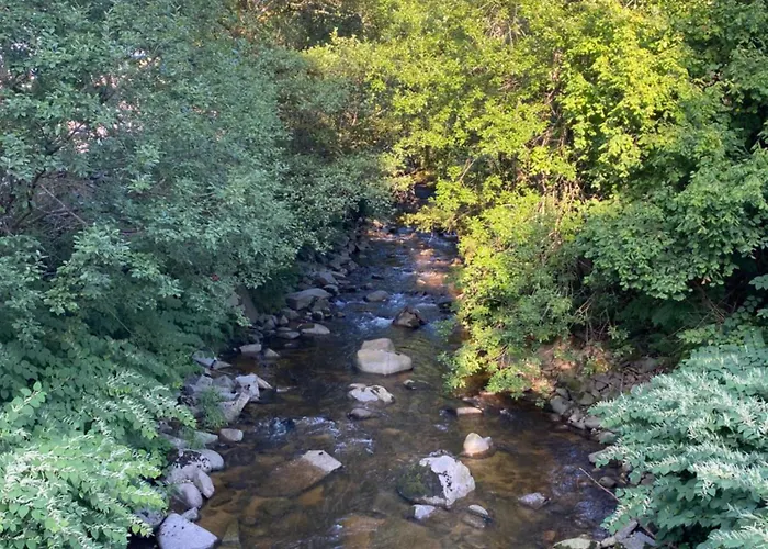 Le Souffle Des Sapins * La Bresse